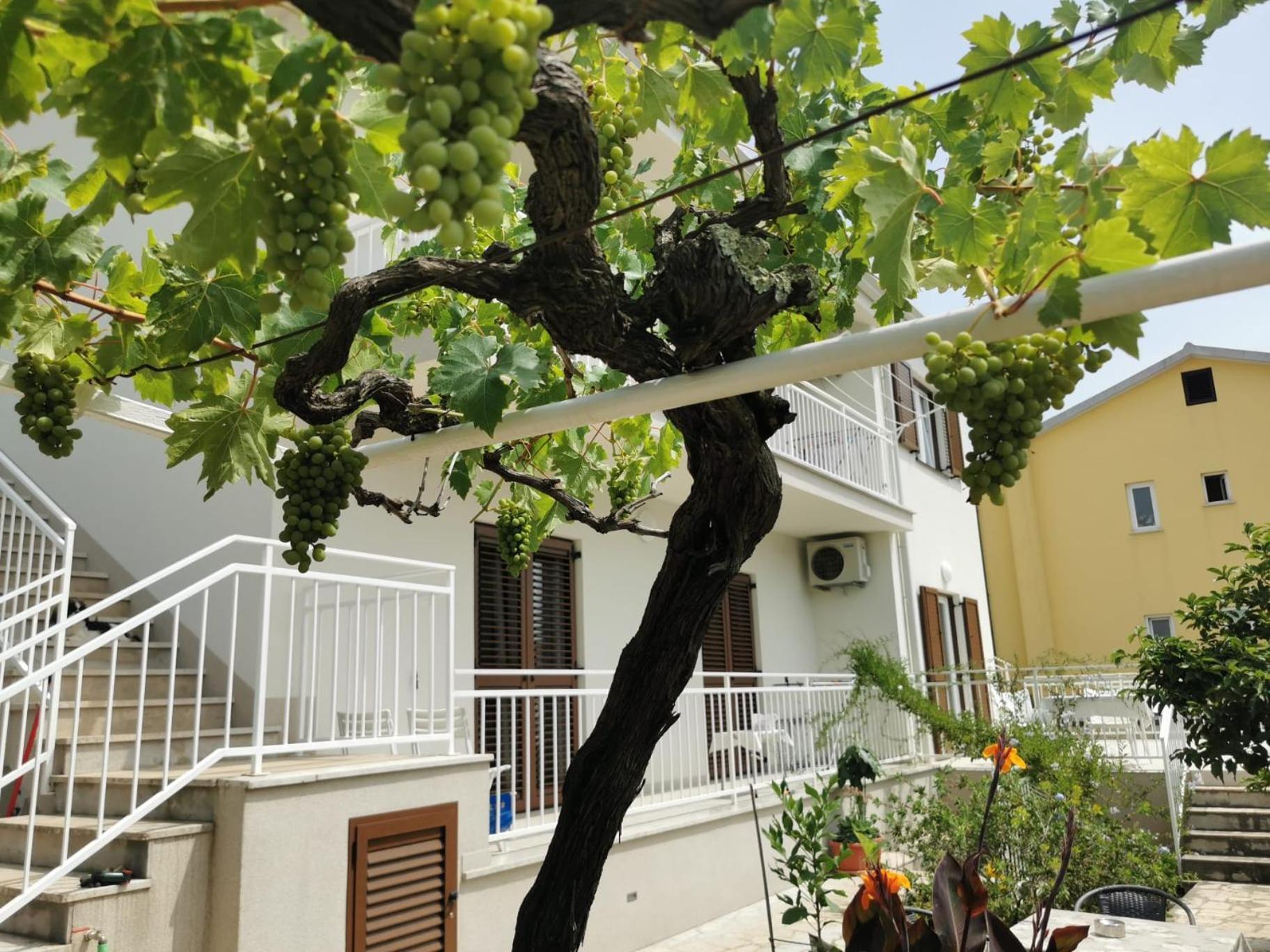 Residence Pical 波雷奇 外观 照片